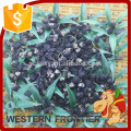 Chine Ningxia bon fournisseur fiable Black goji berry